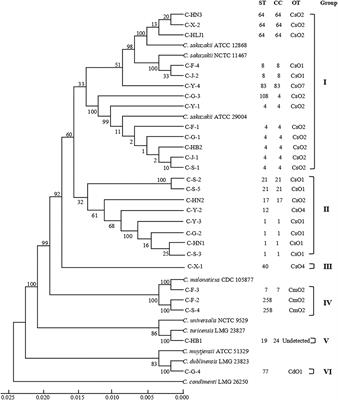 Cronobacter spp. in Commercial Powdered Infant Formula Collected From Nine Provinces in China: Prevalence, Genotype, Biofilm Formation, and Antibiotic Susceptibility